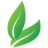 favicon of 2 leaf adapt grow and innovate tax and accounting tagline